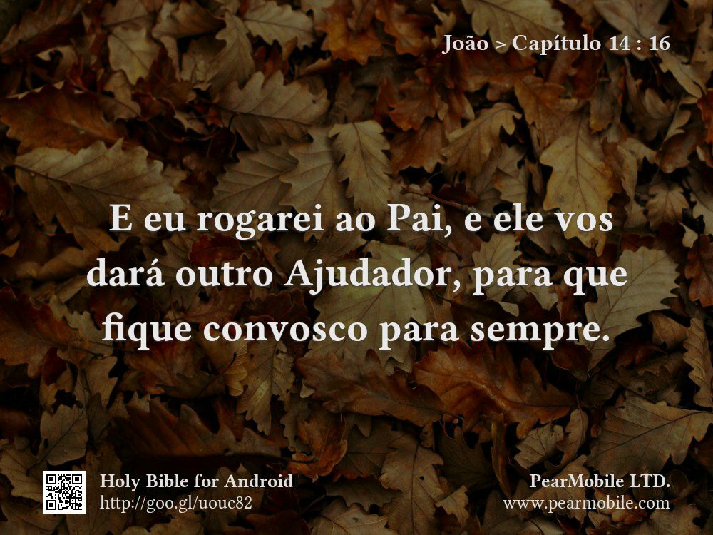 João, Capítulo 14:16